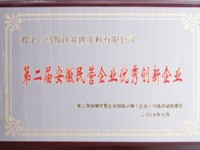 第二屆安徽民營(yíng)企業(yè)優(yōu)秀創(chuàng)新企業(yè)